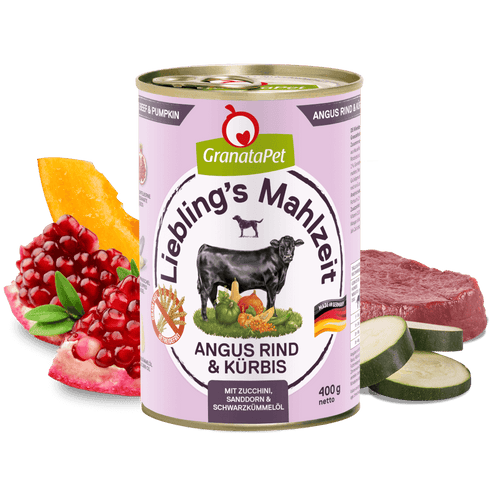 Angus Rind & Kürbis