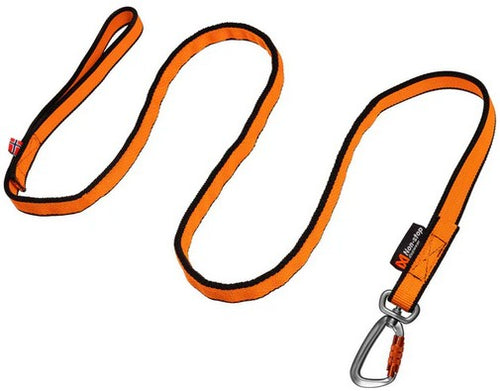 Bungee Leash